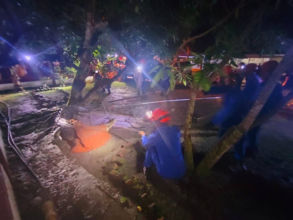 Buaya Panjang 9 Kaki di tangkap di Sandakan 2 photo 2025 10 28 18 15 30