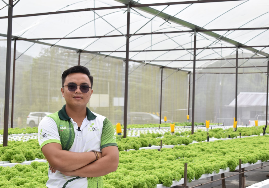 Gambar Mixxcomoko Di Rumah Hijau Miliknya