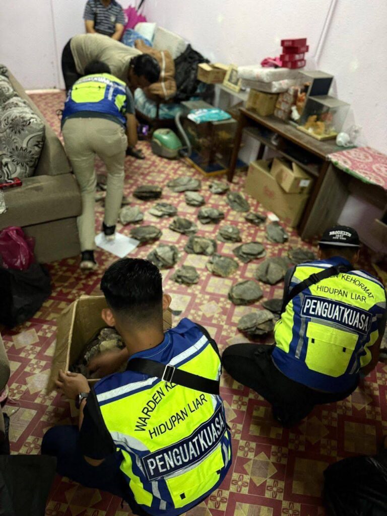 photo 2025 11 17 11 17 04