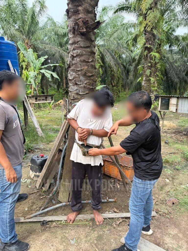 photo 2025 11 21 18 12 44