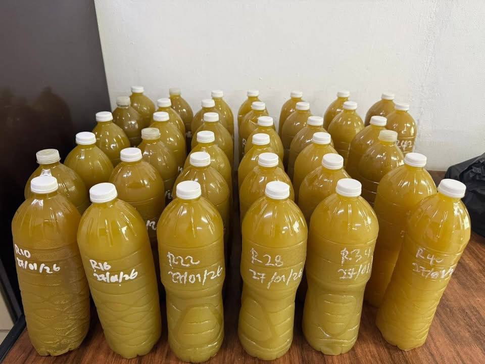 photo 2026 01 28 09 52 41