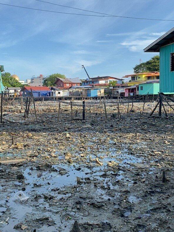 photo 6312181124628680339 y edited