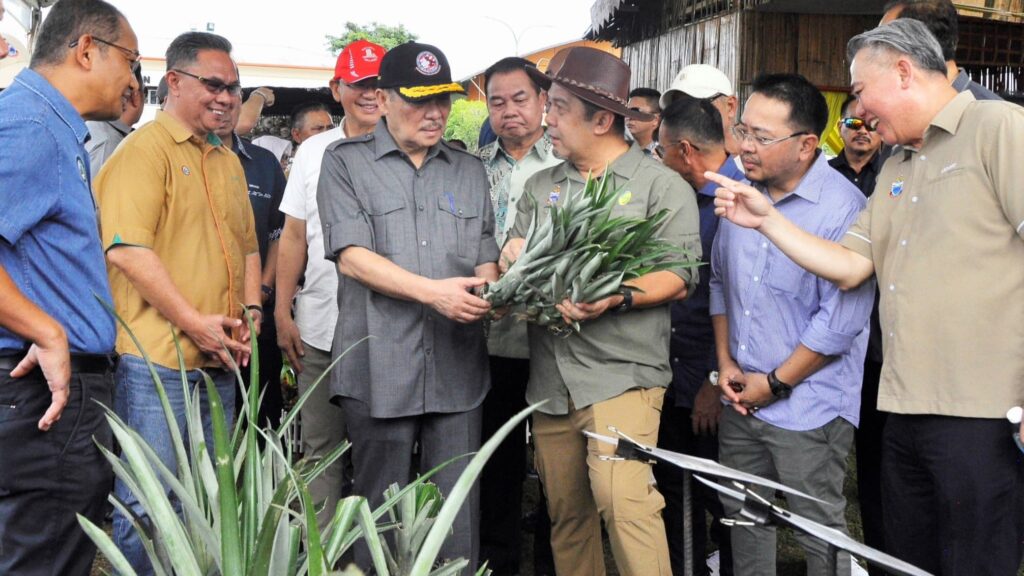 Jelajah Kebun Dapur perkukuh sekuriti makanan Sabah 2 maffi1b 1