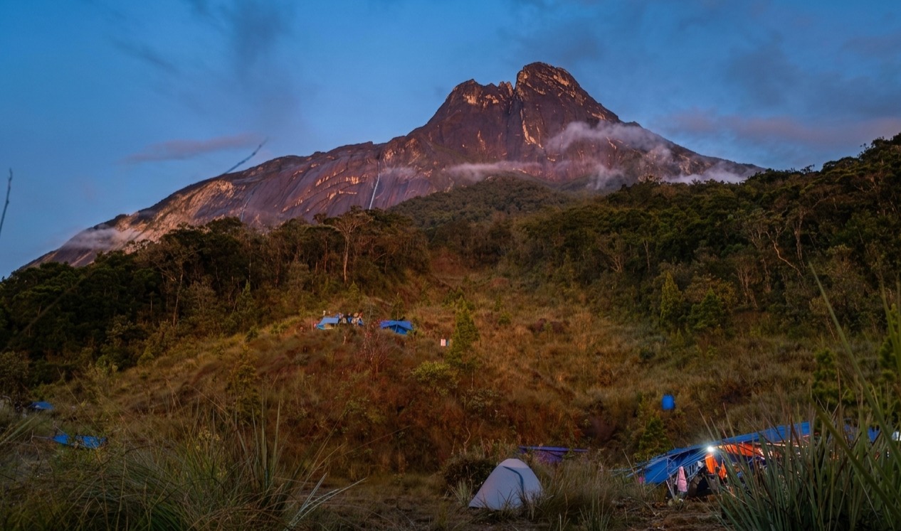 WhatsApp Image 2026 03 17 at 11.41.46