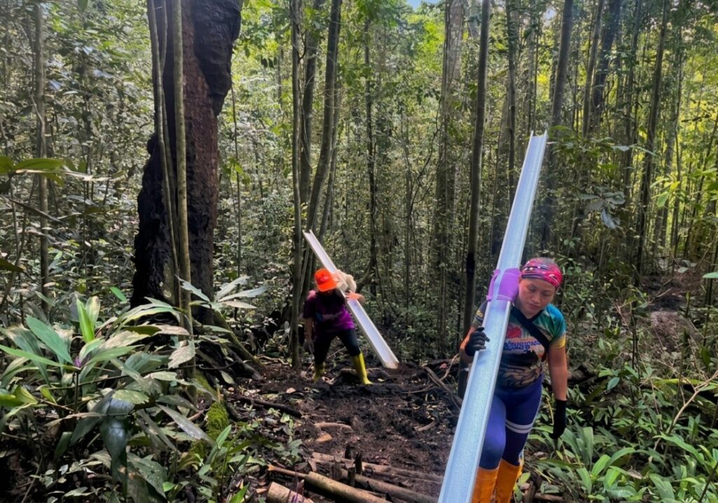 WhatsApp Image 2026 03 17 at 12.35.48