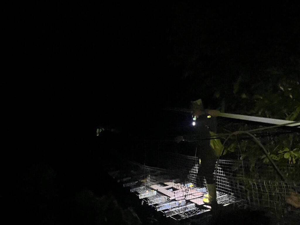 WhatsApp Image 2026 03 17 at 13.10.27