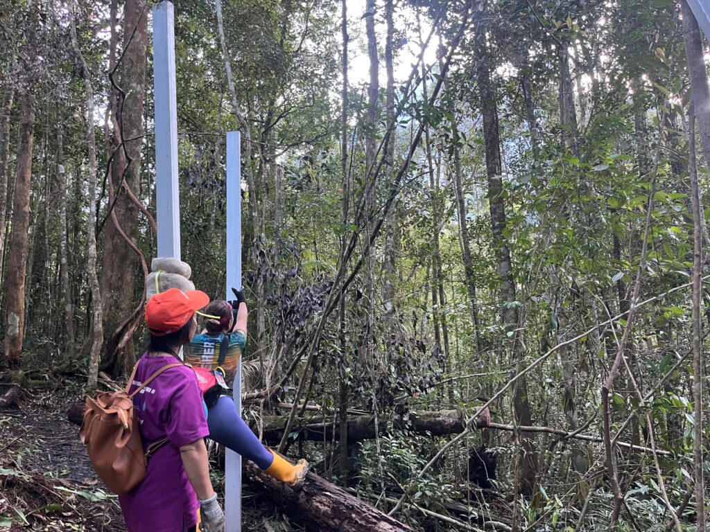 WhatsApp Image 2026 03 17 at 13.30.10