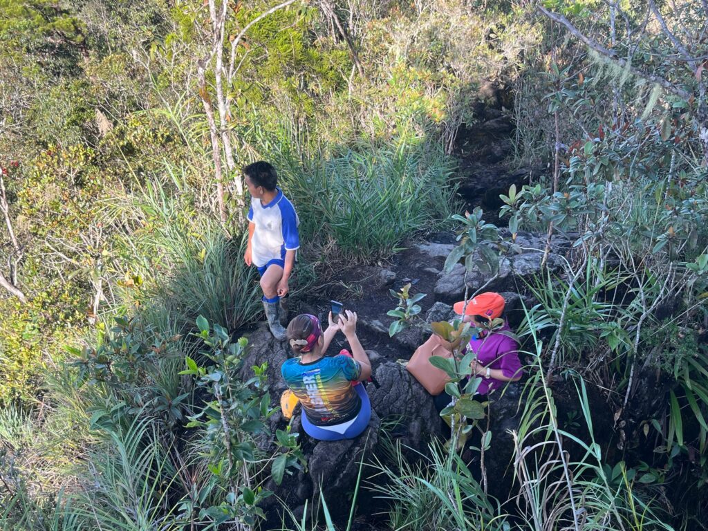 WhatsApp Image 2026 03 17 at 13.39.31