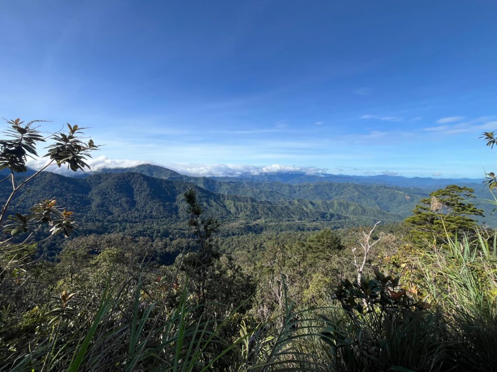 WhatsApp Image 2026 03 17 at 13.41.31