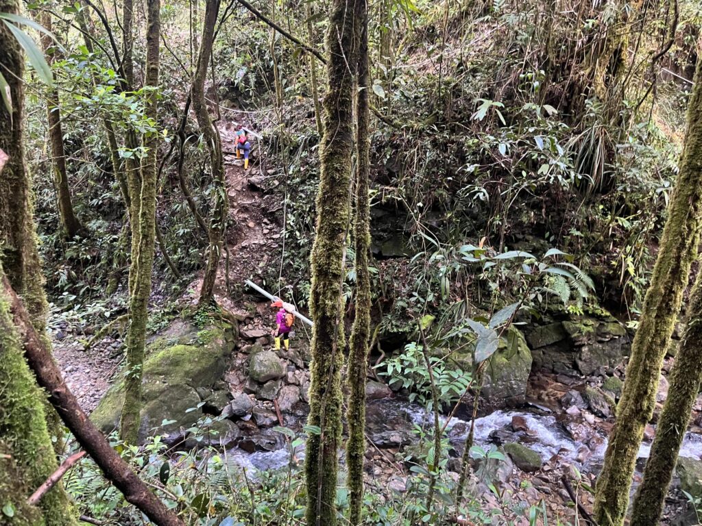 WhatsApp Image 2026 03 17 at 13.43.22