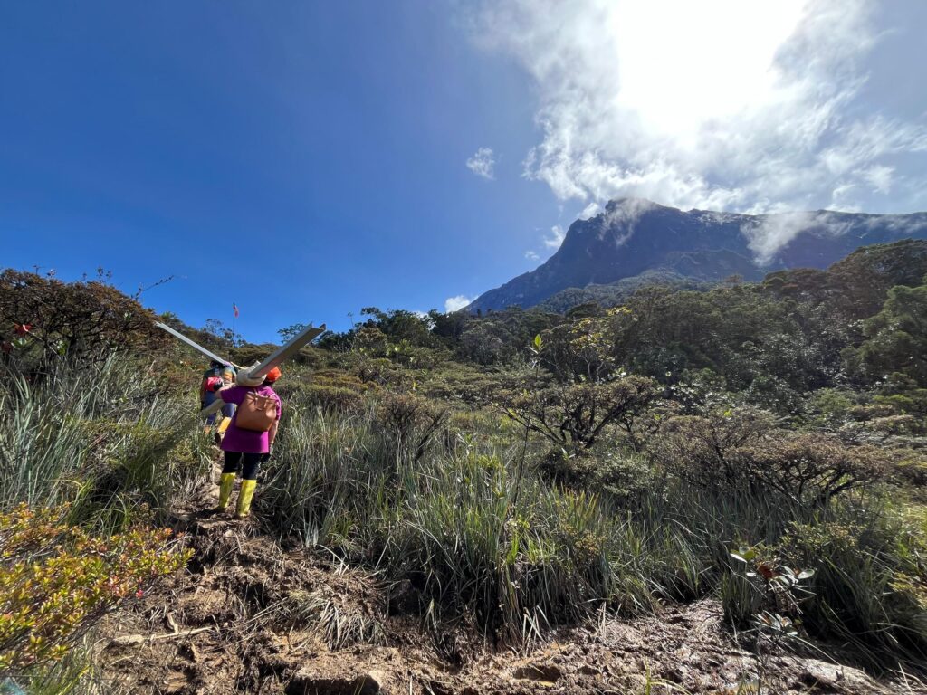 WhatsApp Image 2026 03 17 at 13.46.26 1