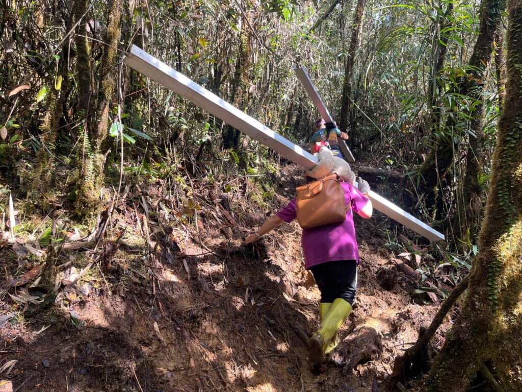 WhatsApp Image 2026 03 17 at 13.46.26