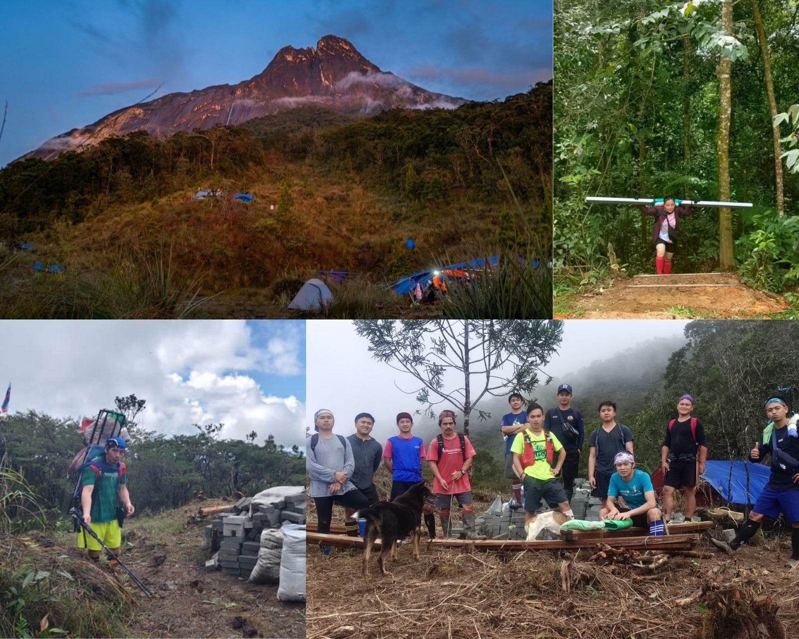 WhatsApp Image 2026 03 17 at 14.47.16