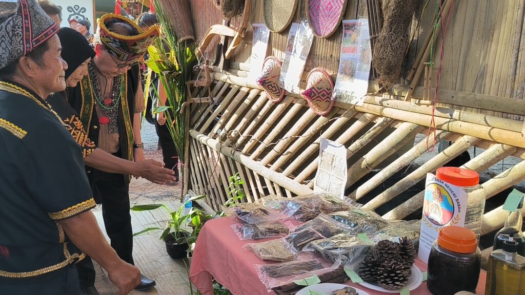 SAAN Perubatan Tradisi