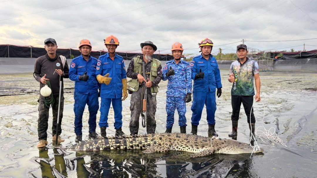 photo 2026 04 01 13 11 54