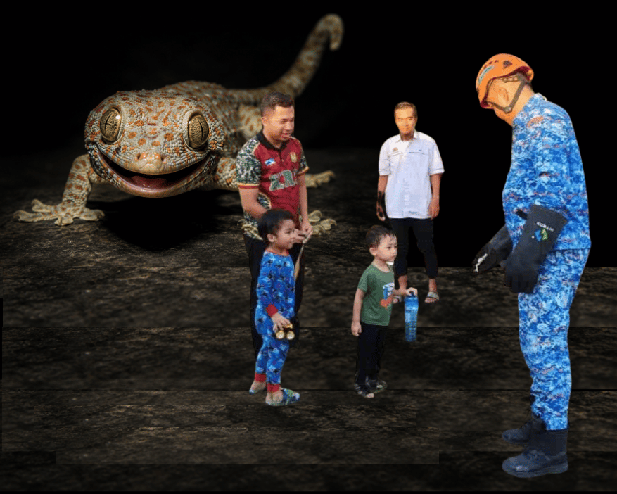 Deadly Poisonous Little Gecko? Is Its Value Really in the Millions?