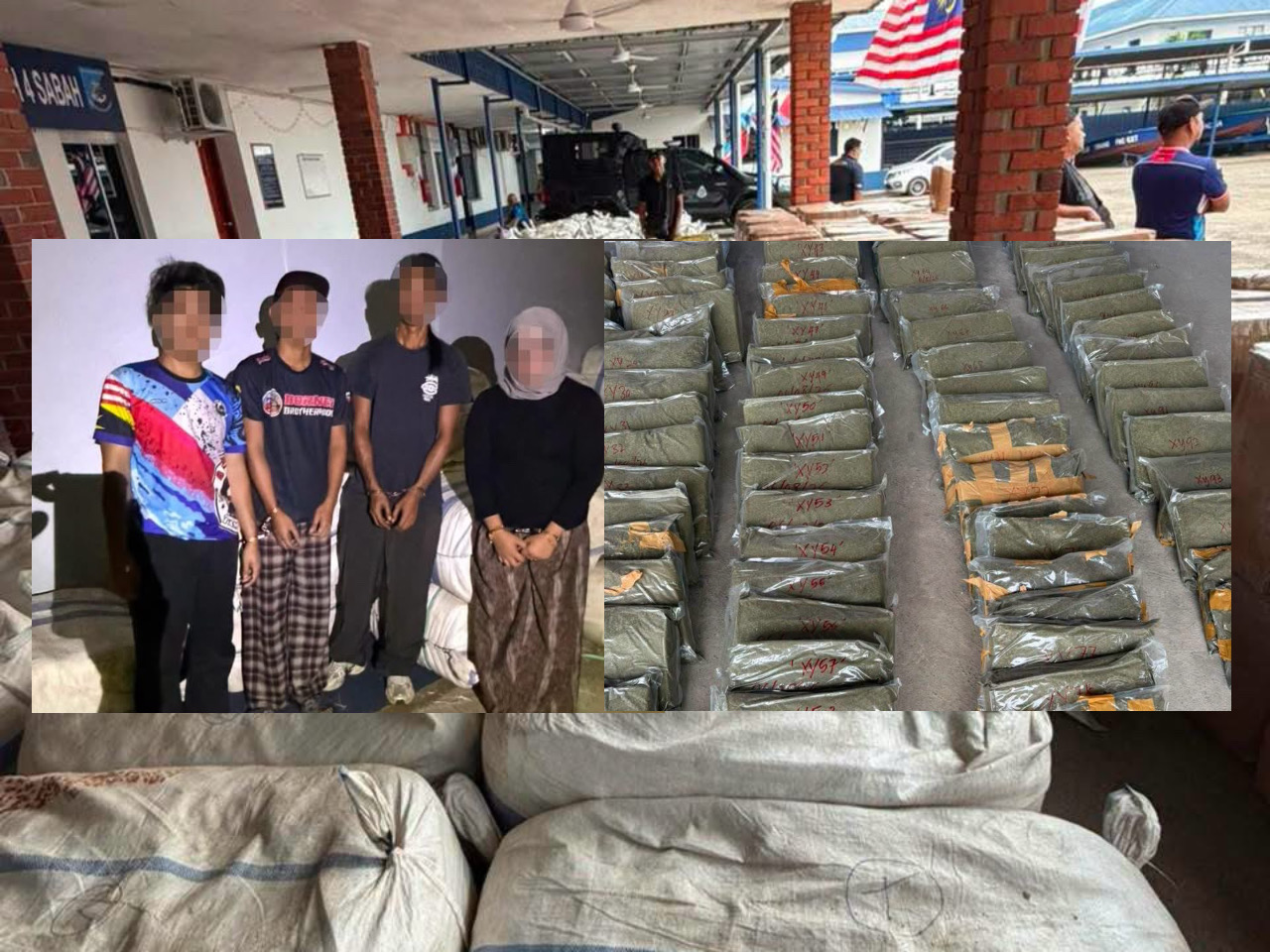 11.45 tonnes of ketum powder worth RM1.145m seized in Tuaran