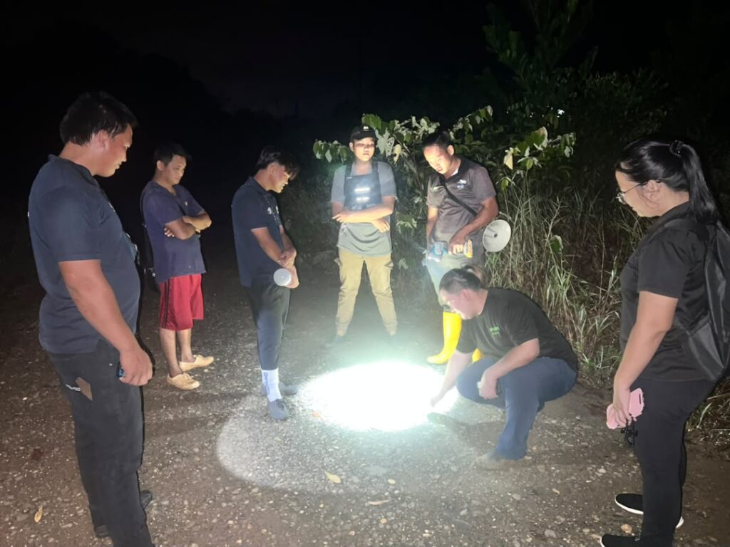 Akibat jerat, anak gajah cedera terjerat di Hutan Simpan Tawai 3 1003664411