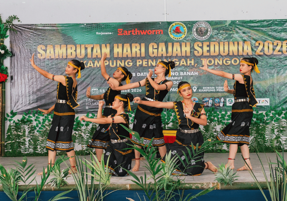Penangah community strengthens role in protecting elephants 2 Gambar Persembahan Tarian Sempena Hari Gajah Malaysia